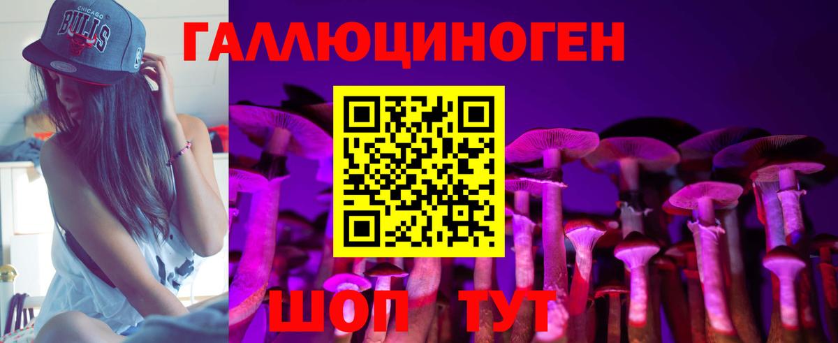 Псилоцибиновые грибы Psilocybine cubensis Пушкино